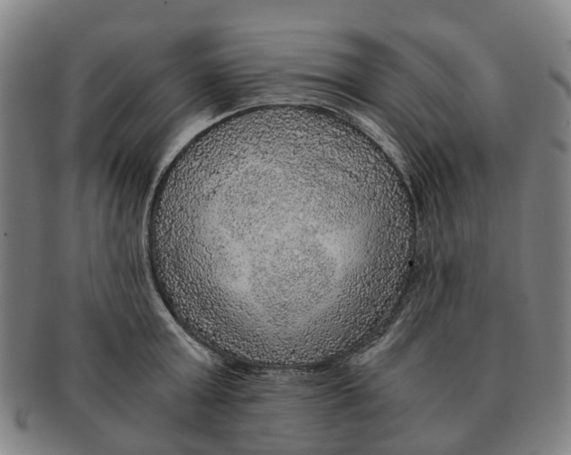 X0000091010803200708301356