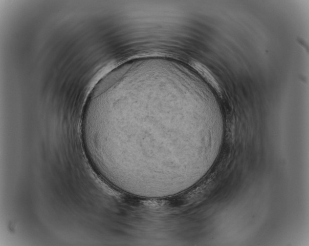 X0000091010805200708301356