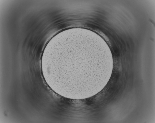 X0000091010807200708301356