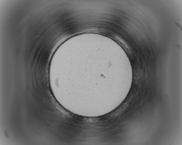 X0000091010808200708301356