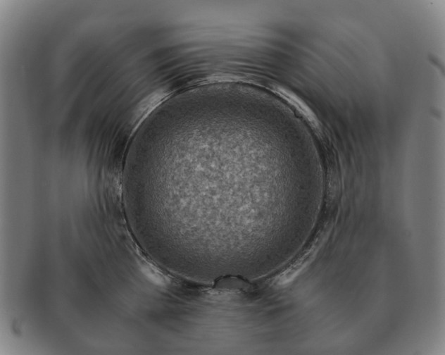 X0000091010809200708301356