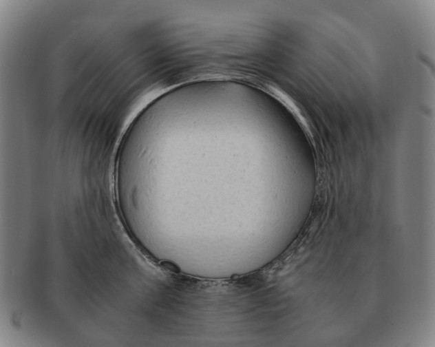 X0000091010811200708301356