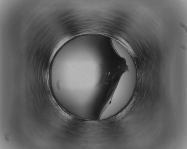 X0000091010812200708301356