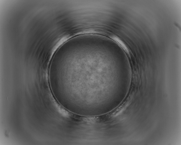 X0000091010813200708301356