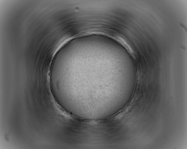 X0000091010814200708301356