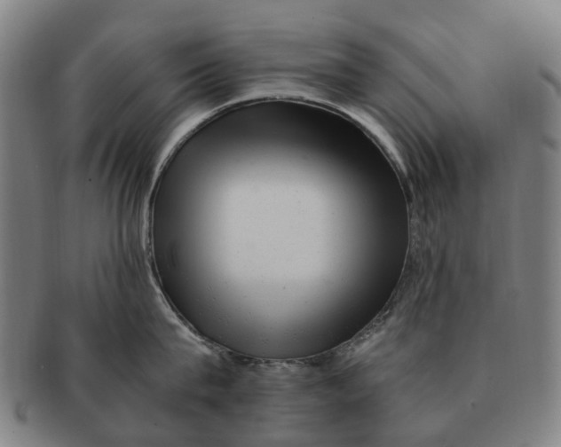 X0000091010815200708301356