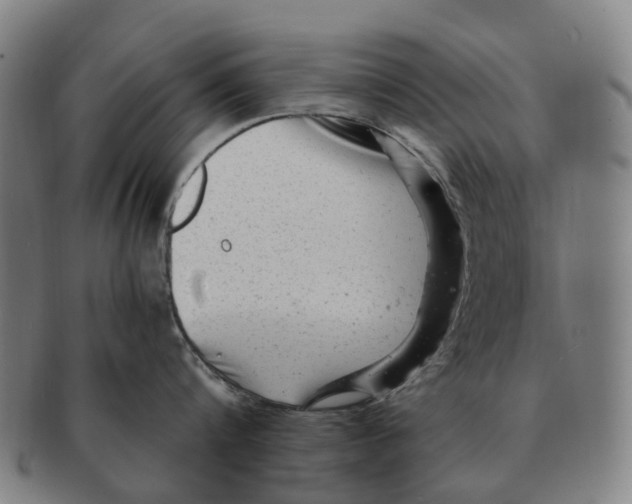 X0000091010816200708301356