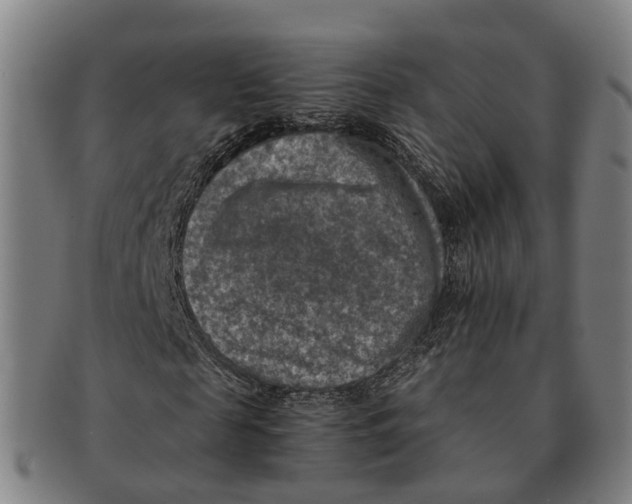 X0000091010817200708301355