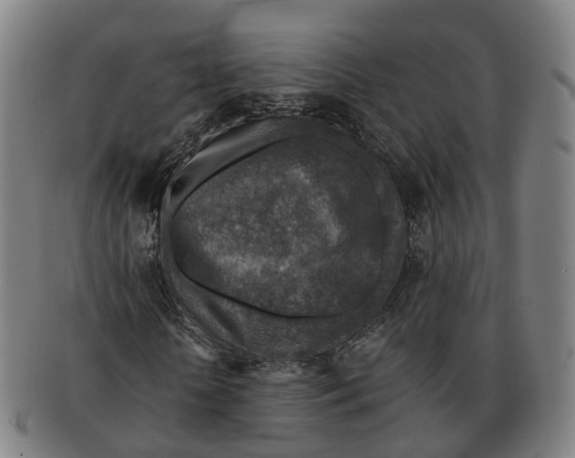 X0000091010818200708301355