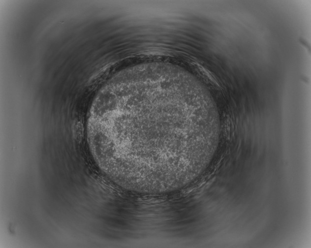 X0000091010821200708301355