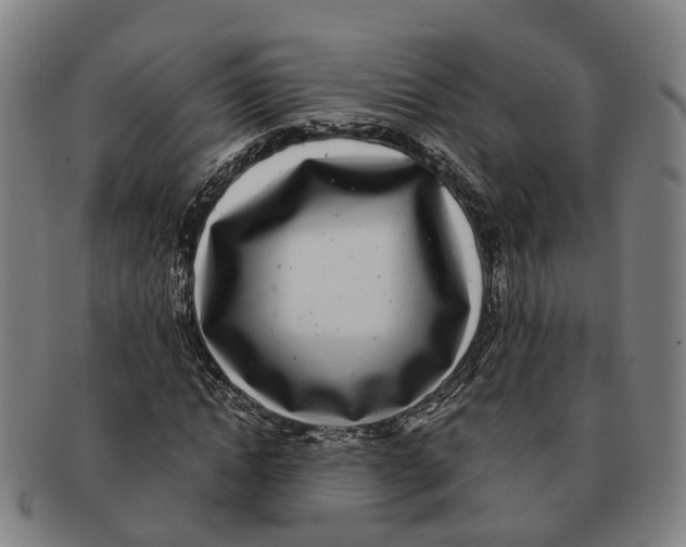 X0000091010822200708301355