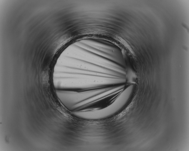 X0000091010826200708301355