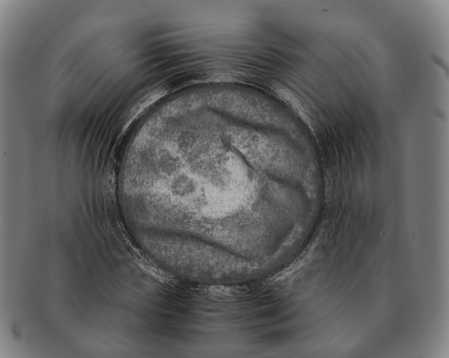 X0000091010827200708301355