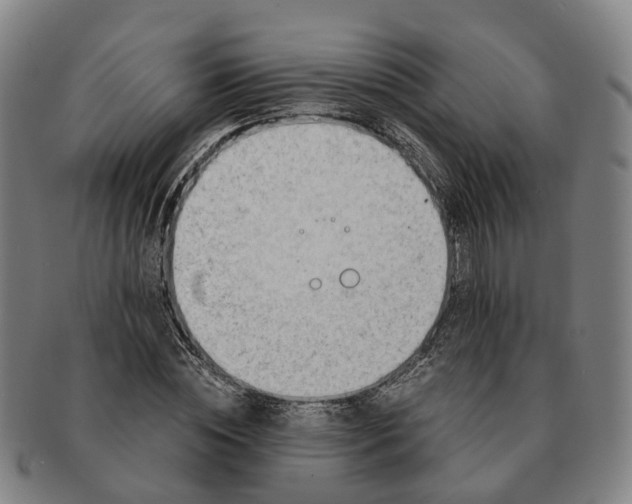 X0000091010828200708301356