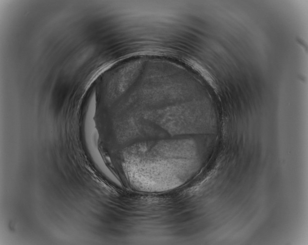 X0000091010829200708301356