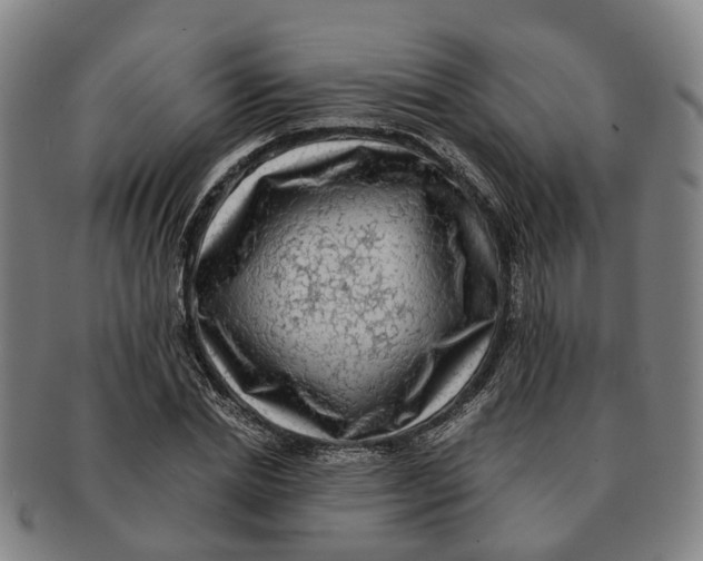 X0000091010830200708301356