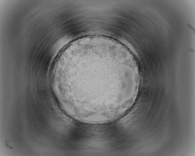 X0000091010832200708301356