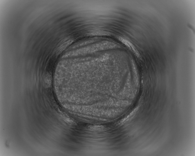 X0000091010833200708301356