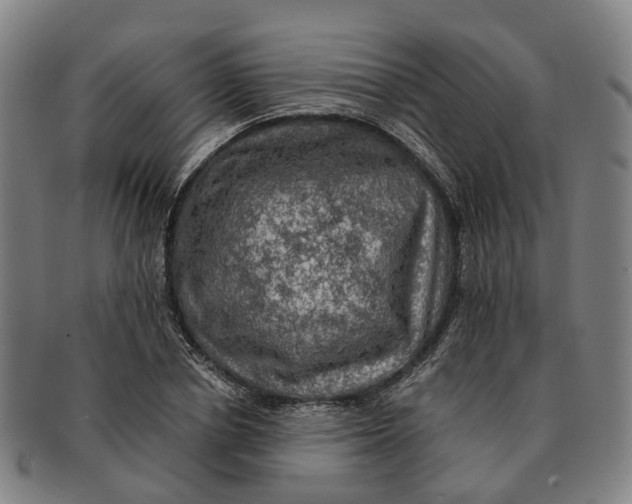 X0000091010834200708301356