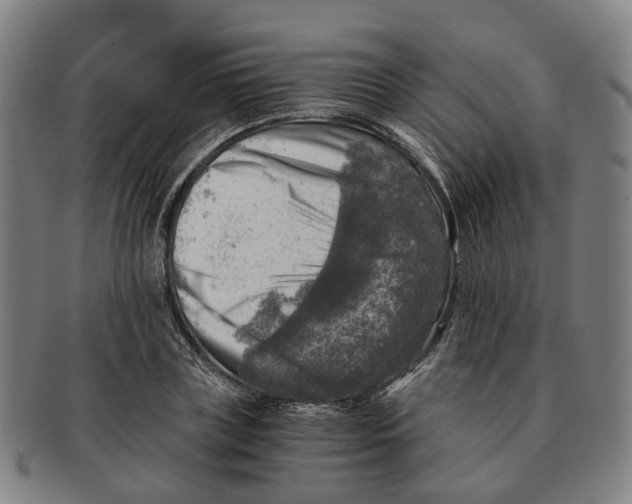 X0000091010835200708301356