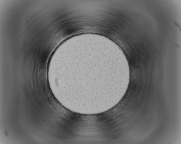 X0000091010836200708301356