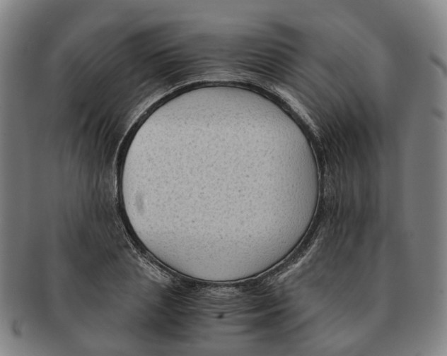 X0000091010837200708301356