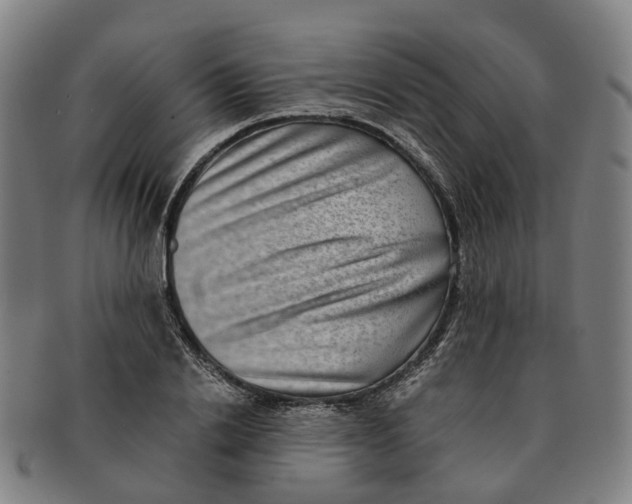 X0000091010838200708301356