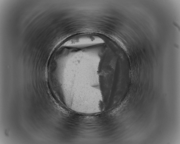 X0000091010839200708301356