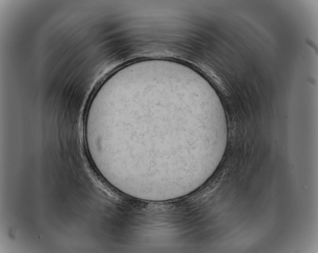 X0000091010840200708301356