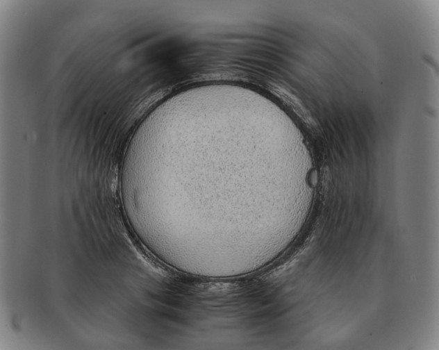 X0000091010841200708301356