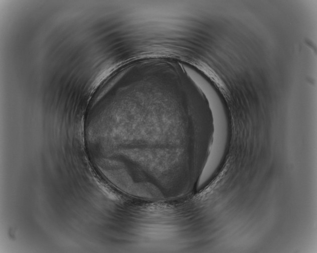 X0000091010842200708301356