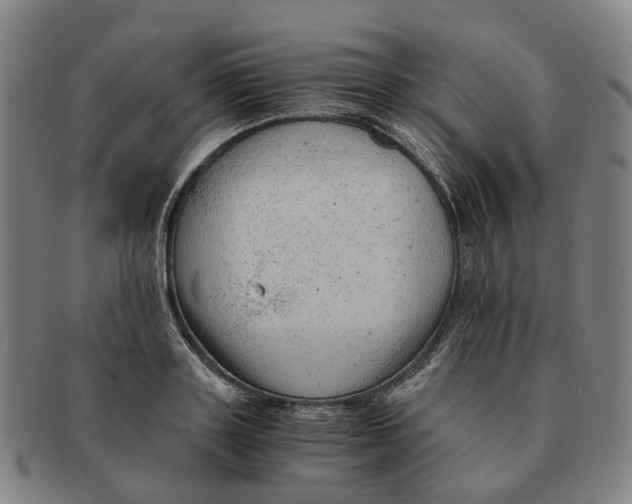 X0000091010843200708301356