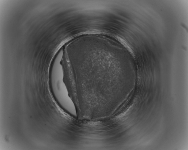 X0000091010845200708301356