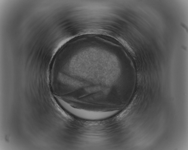 X0000091010846200708301356