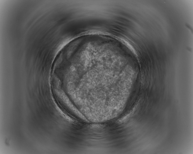 X0000091010847200708301356