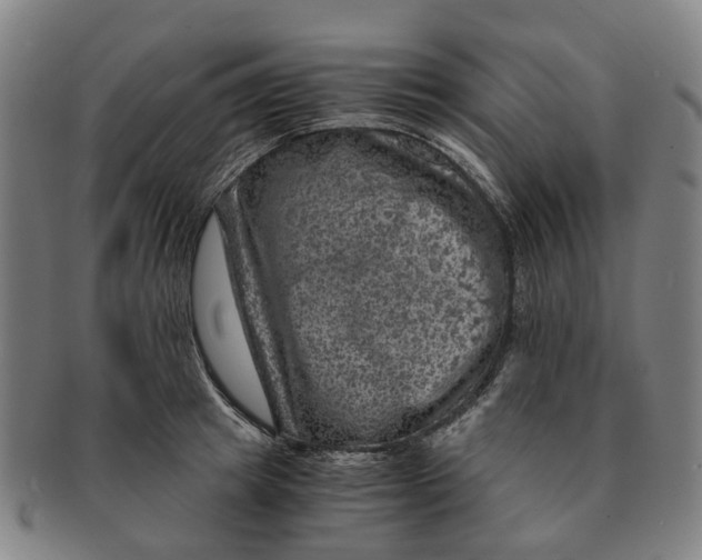 X0000091010849200708301356