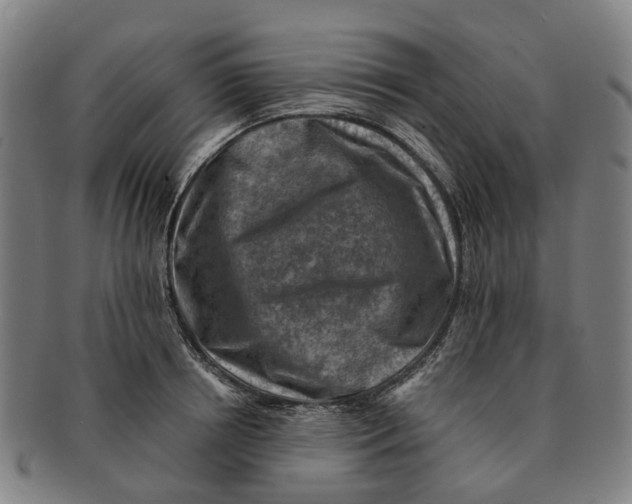 X0000091010850200708301356