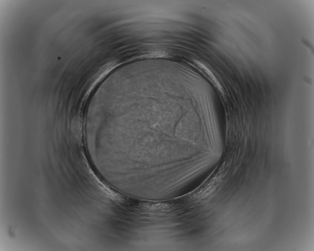 X0000091010851200708301356