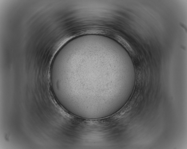 X0000091010852200708301356