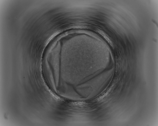 X0000091010853200708301356