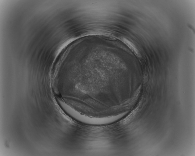 X0000091010854200708301356