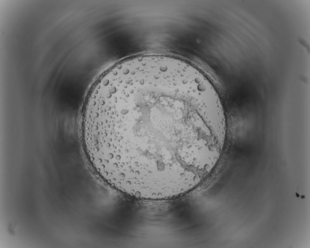 X0000091010856200708301356