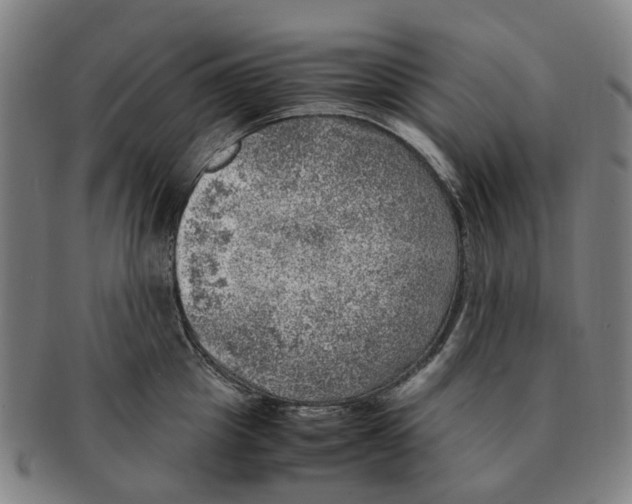 X0000091010857200708301356