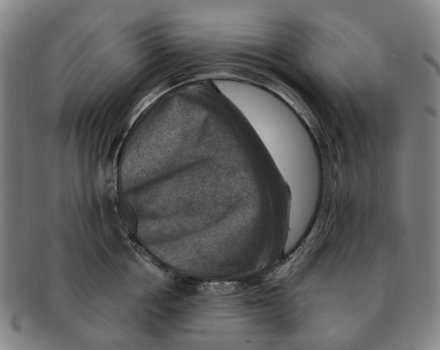 X0000091010858200708301356