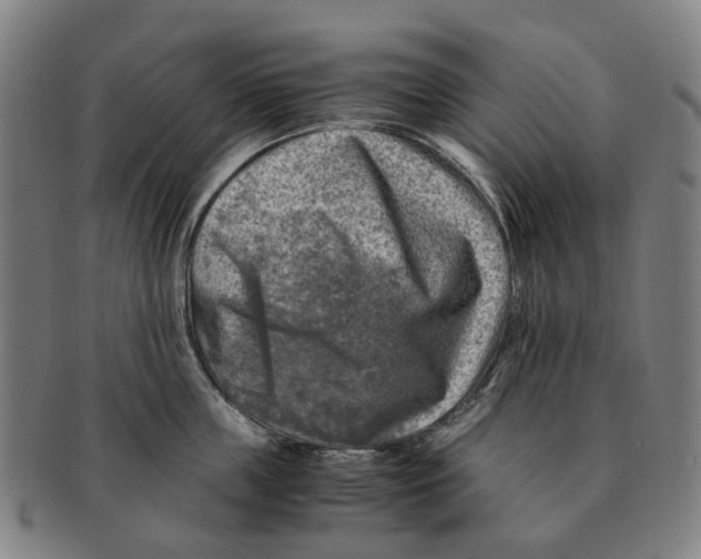 X0000091010859200708301356