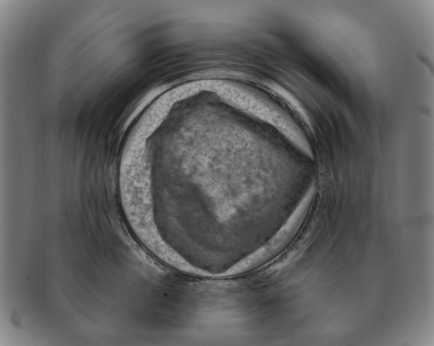 X0000091010860200708301356