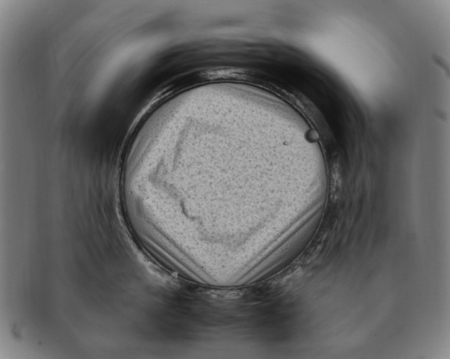 X0000091010861200708301356