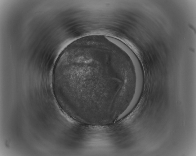 X0000091010862200708301356