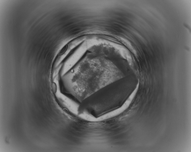 X0000091010863200708301356