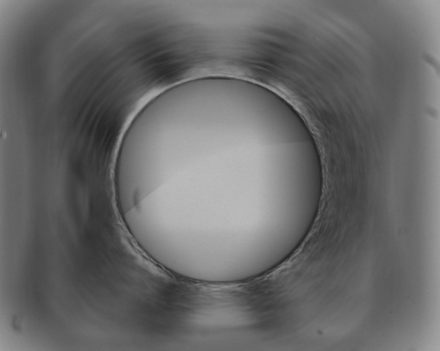 X0000091010864200708301356